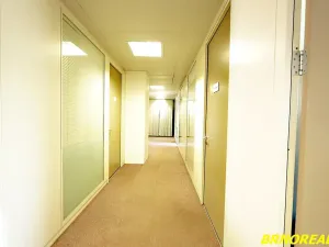 Pronájem kanceláře, Brno, Příkop, 20 m2
