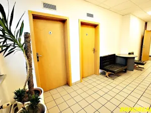 Pronájem kanceláře, Brno, Příkop, 20 m2