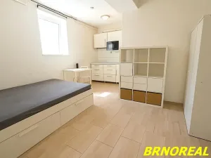 Pronájem bytu 1+kk, Brno, Vodní, 20 m2