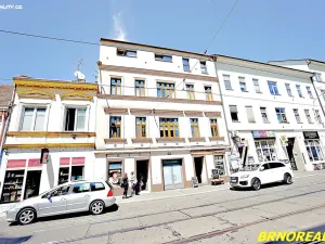 Pronájem bytu 1+kk, Brno, Vodní, 20 m2