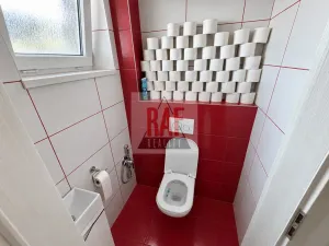 Prodej rodinného domu, Sazomín, 225 m2