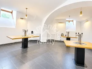 Prodej restaurace, České Budějovice, Na Sadech, 260 m2