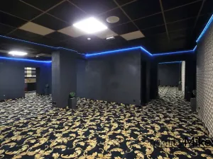 Prodej obchodního prostoru, Liberec, Na Žižkově, 351 m2