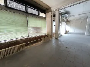 Pronájem obchodního prostoru, Ústí nad Labem, Masarykova, 282 m2