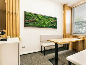 Pronájem kanceláře, Brno, Plotní, 93 m2