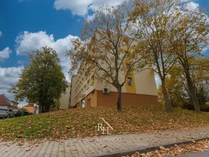 Prodej bytu 3+1, Kladno, Lacinova, 70 m2
