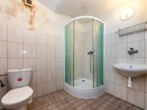 Prodej chalupy, Chanovice, 197 m2