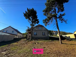 Prodej pozemku pro bydlení, Olšany, 6031 m2