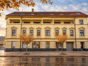 Prodej bytu 1+kk, Brno, Vranovská, 30 m2