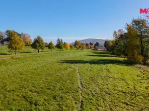 Prodej pozemku pro bydlení, Horní Podluží, 6235 m2
