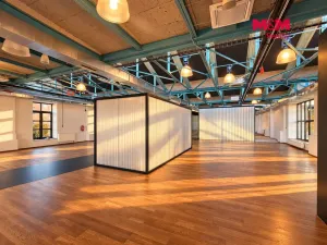 Pronájem kanceláře, Praha - Libeň, Drahobejlova, 706 m2