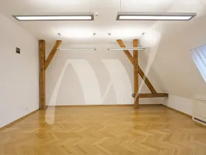 Pronájem kanceláře, Praha - Nové Město, Václavské náměstí, 466 m2