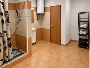 Prodej bytu 1+kk, Planá, Hřbitovní, 30 m2