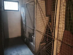 Pronájem bytu 3+1, Praha - Záběhlice, Jasmínová, 73 m2