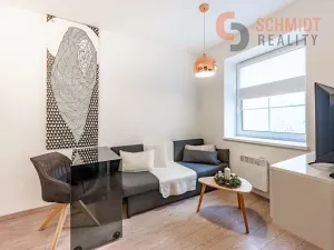 Pronájem bytu 1+kk, Mikulov, Purkyňova, 27 m2