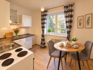 Pronájem bytu 1+1, Litvínov, Podkrušnohorská, 30 m2
