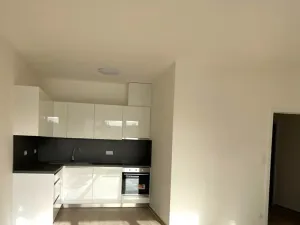 Prodej bytu 1+kk, Brno, Střední, 42 m2