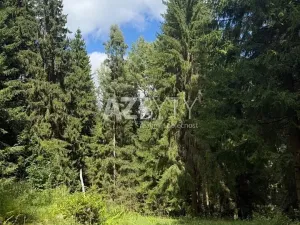 Pronájem chalupy, Vysoká Pec, 120 m2