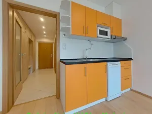 Pronájem bytu 1+kk, Praha - Žižkov, Olšanská, 33 m2