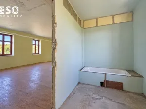 Prodej obchodního prostoru, Krnov, Krásné Loučky, 442 m2