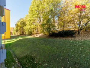 Prodej bytu 3+1, Cheb, Dvořákova, 75 m2