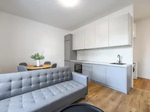 Prodej bytu 2+kk, Slaný, Navrátilova, 40 m2