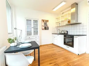 Pronájem bytu 1+kk, Praha - Vinohrady, Perucká, 25 m2