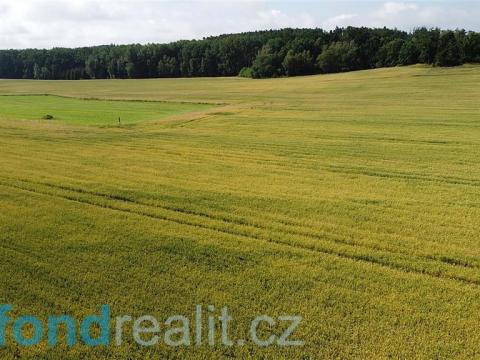 Prodej zemědělské půdy, Radošovice, 12505 m2