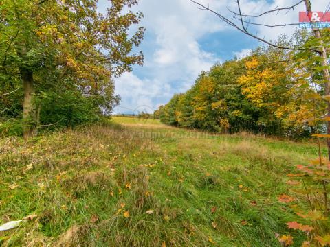 Prodej pozemku pro bydlení, Kraslice, 2181 m2