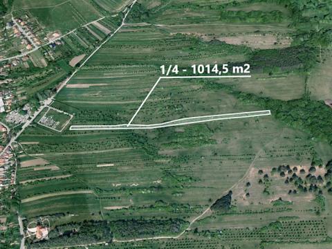 Prodej zemědělské půdy, Velká nad Veličkou, 1014 m2