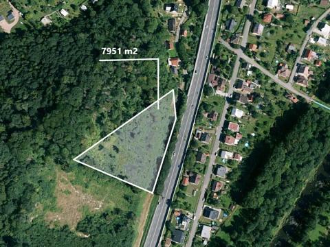 Prodej lesa, Metylovice, 7951 m2