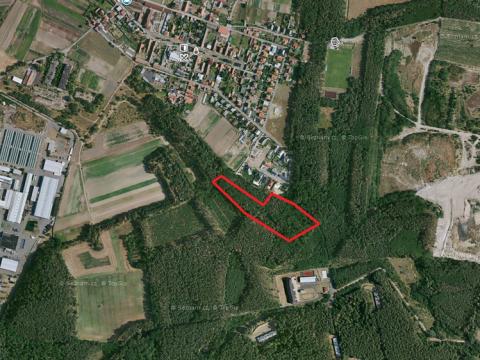Prodej podílu lesa, Travčice, 7425 m2