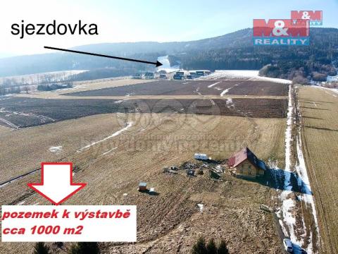 Prodej pozemku pro bydlení, Červená Voda - Mlýnický Dvůr, 1000 m2