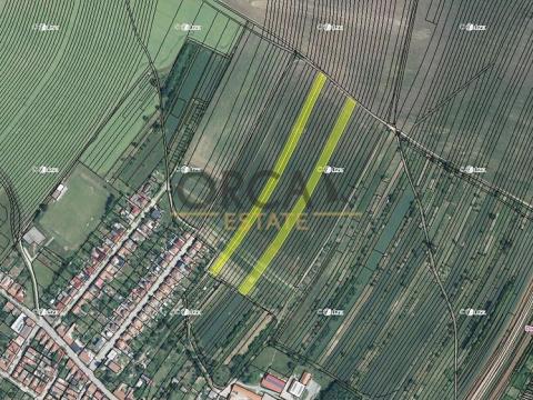 Prodej zemědělské půdy, Domanín, 11670 m2