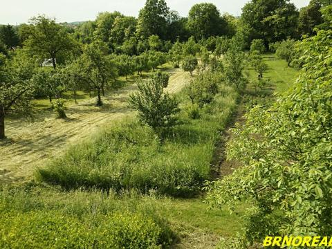 Prodej zahrady, Rousínov, Trnečkova, 940 m2