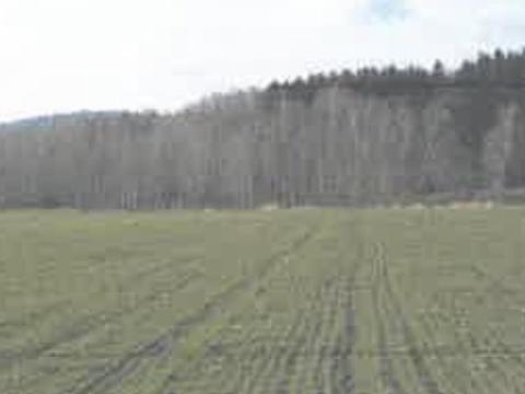 Dražba zemědělské půdy, Hlinsko, 22058 m2