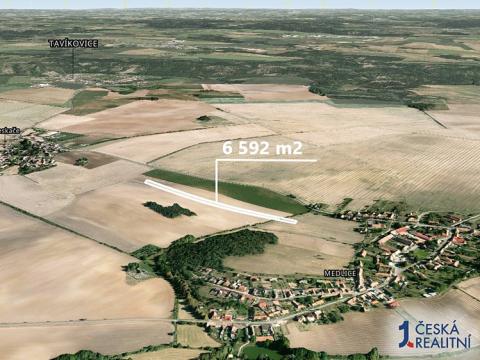 Prodej podílu zemědělské půdy, Medlice, 824 m2