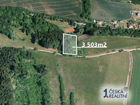 Prodej lesa, Brtnice, 3503 m2