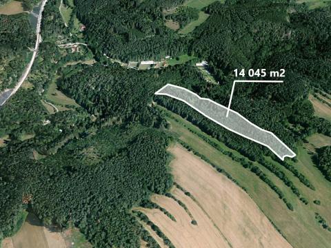 Prodej podílu lesa, Kuřimská Nová Ves, 3121 m2