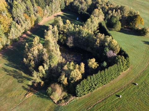 Prodej pozemku, Benešov nad Černou - Klení, 6805 m2