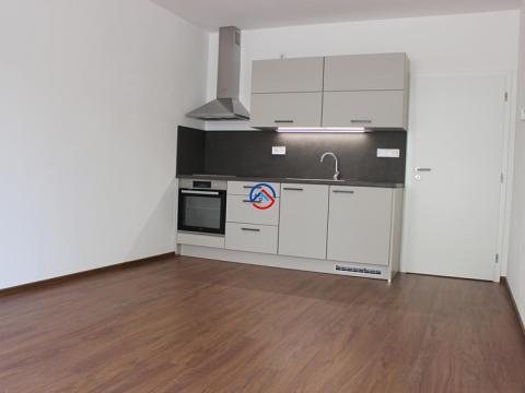 Pronájem bytu 1+kk, Olomouc, Frištenského, 32 m2