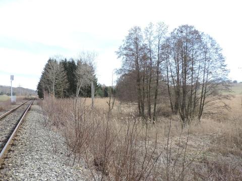 Prodej pozemku, Brniště, 3690 m2