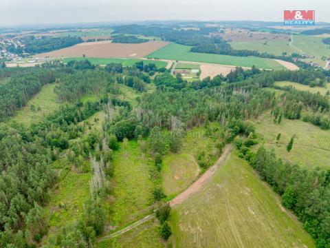 Prodej lesa, Budišov, 5241 m2