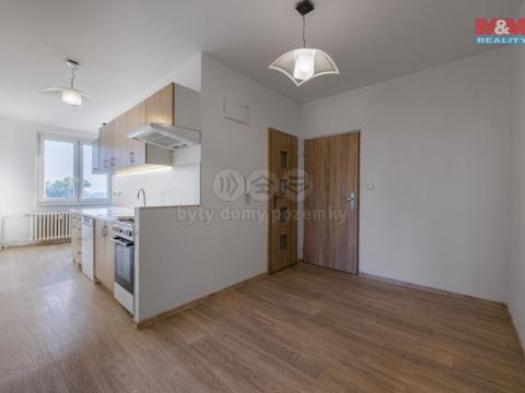 Prodej bytu 3+1, Karlovy Vary - Stará Role, Okružní, 65 m2