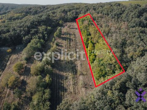 Prodej zemědělské půdy, Kobylí, 3496 m2