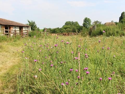 Prodej pozemku pro bydlení, Čelčice, 809 m2