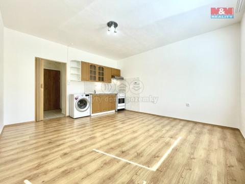 Pronájem bytu 2+kk, Teplice - Nová Ves, Javorová, 42 m2