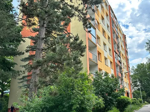 Prodej bytu 1+1, Děčín, Na Pěšině, 37 m2