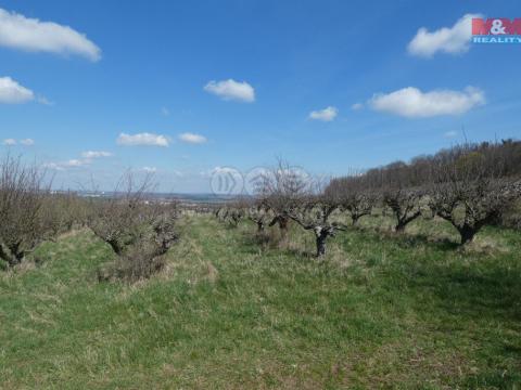 Prodej pole, Kutná Hora - Kaňk, 6390 m2