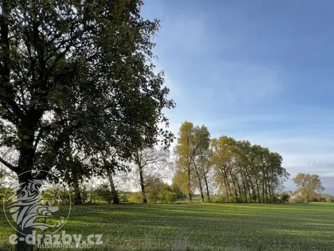 Prodej louky, Kořenov, 1059 m2